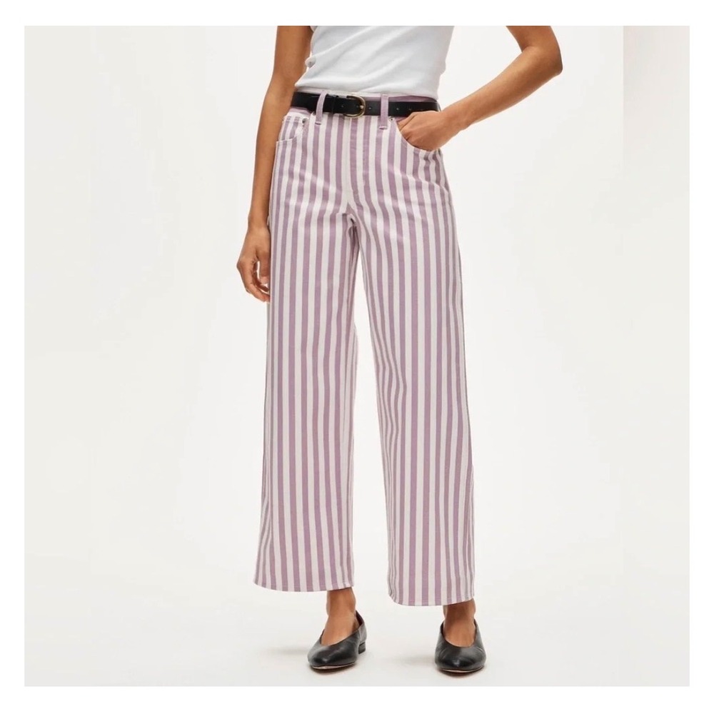 J.Crew Everyday Wide Leg Ankle Jeans Purple White Striped High Rise 30 Coastal